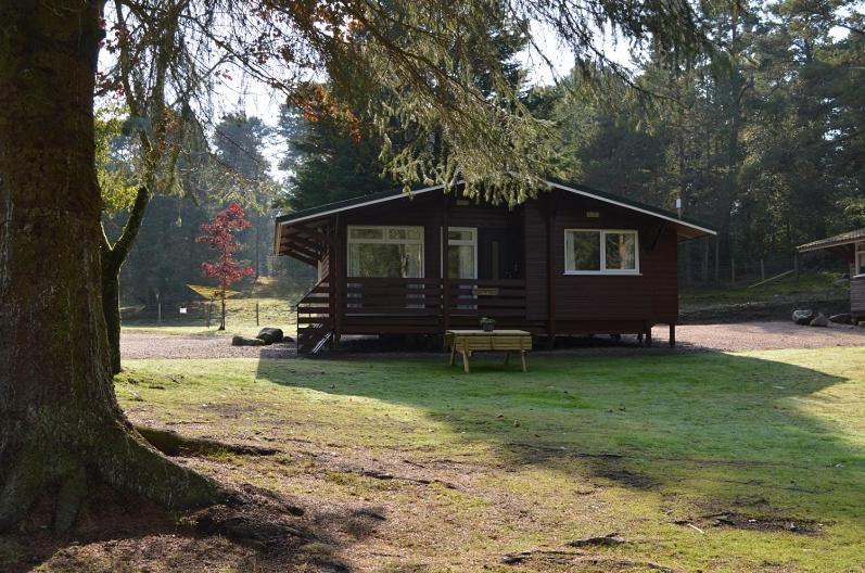 Reuben'S Highland Retreat - Speyside Villa Carrbridge Eksteriør bilde